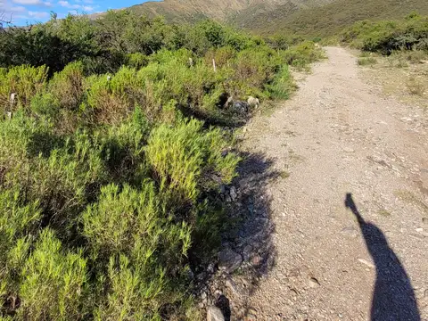 Cuesta de los molles arriba