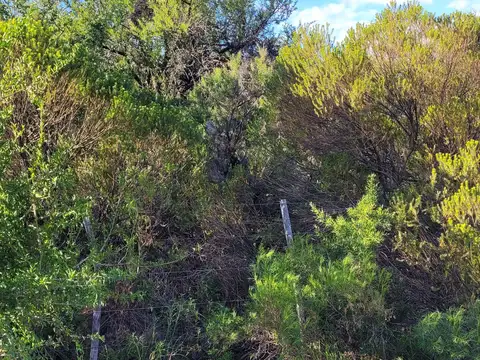 Terreno en Venta de 25000,0 m2