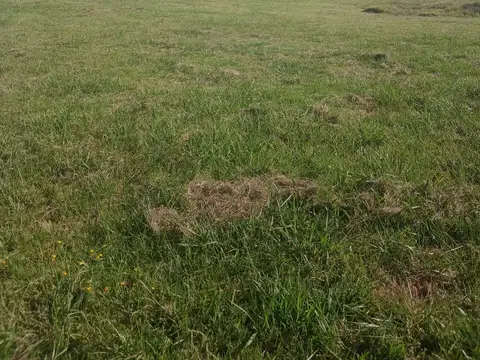 Terreno en Venta en Agote, USD 18.000