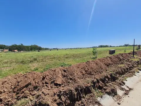 Terreno en Venta en Bella Vista, USD 120.000