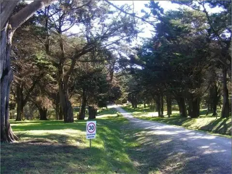 Barrancas de San Benito