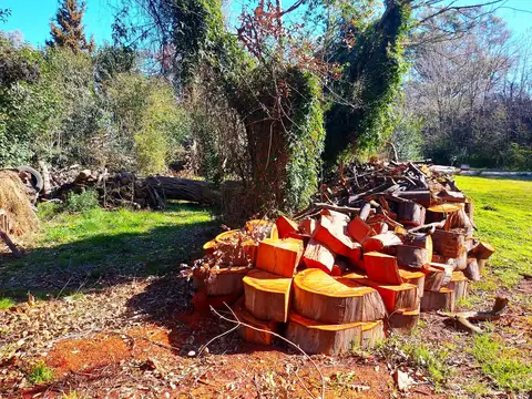 Terreno en Venta 51  mts Fondo