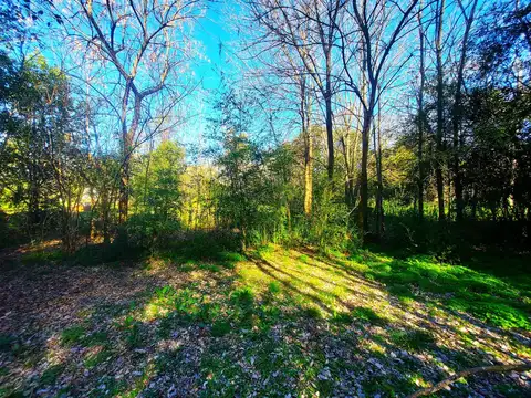 Terreno en Venta 34  mts Frente