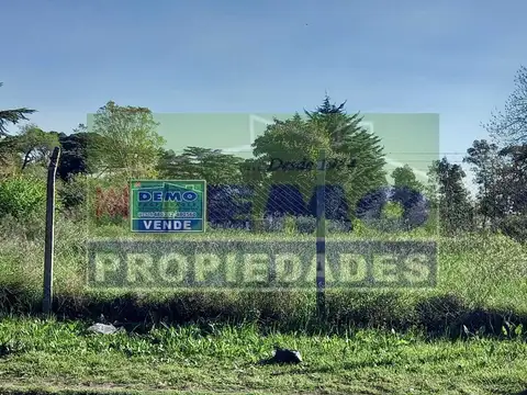 Terreno en Venta 246  mts Fondo