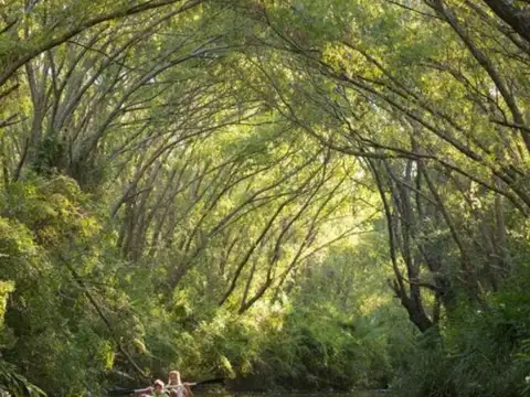 Terreno en Venta de 400730,0 m2