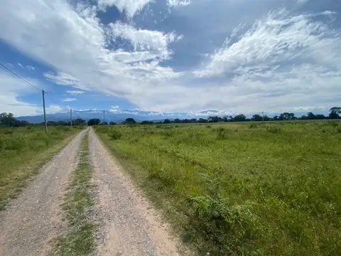 Terreno en Venta 25  mts Fondo