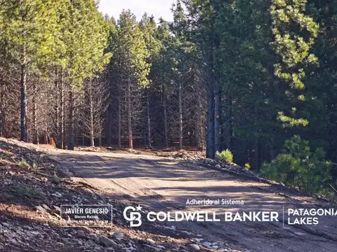 Terreno en Venta en San Martin De Los Andes, USD 40.000