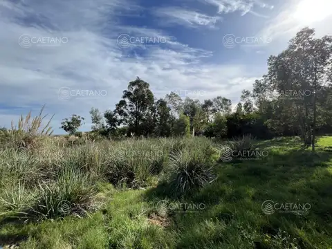 Venta terreno en El Tesoro, La barra