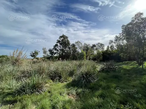 Terreno en Venta 31  mts Frente