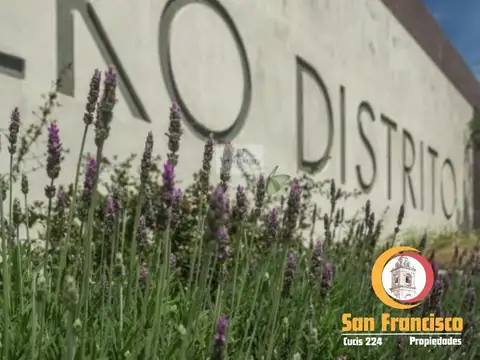 Eko Distrito, Cerrillos