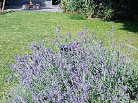 Venta Casa Quinta - Cañuelas - Barrio Paraje El Taladro