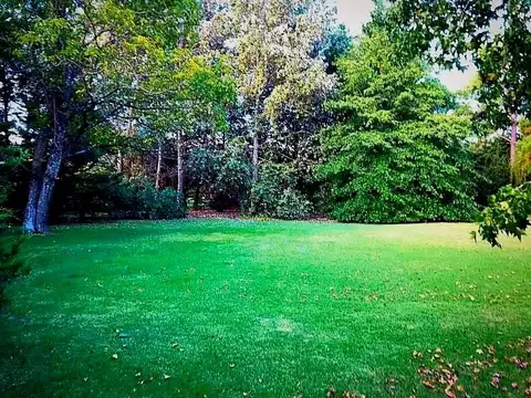 Terreno en Venta 40  mts Frente