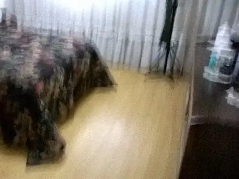 Casa en Venta en Quilmes Oeste, USD 190.000