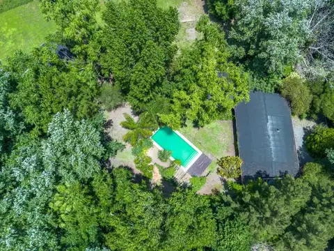 Calandria y las Liebres 100