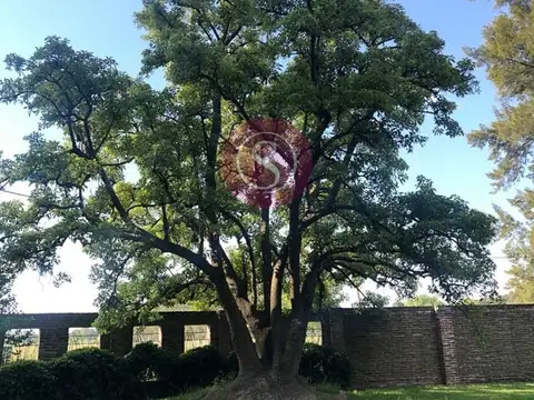 Terreno en Venta en Alejandro Petion, USD 32.000