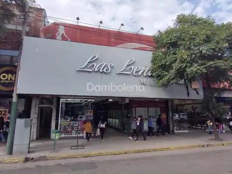 Local en Alquiler A Estrenar