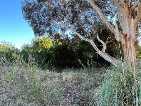 Terreno en Venta de 857,0 m2