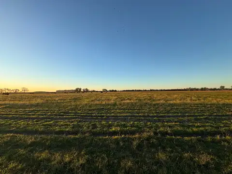 Campo en Primer Distrito Cuchilla