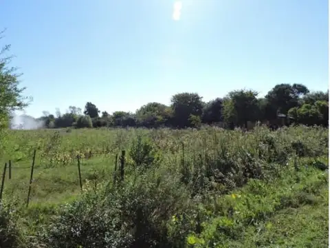 Terreno en venta - 1.400Mts2 - Punta Indio