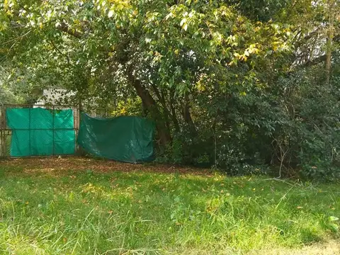 Jeronimo Salguero 3000