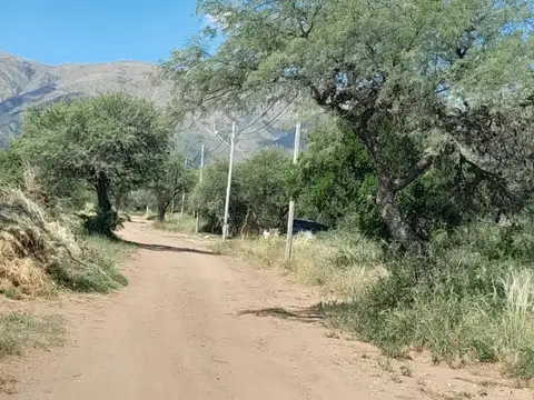 Terreno en venta - 1.600Mts2 - Merlo