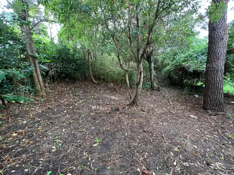 venta en pinares a metros del mar. oportunidad.