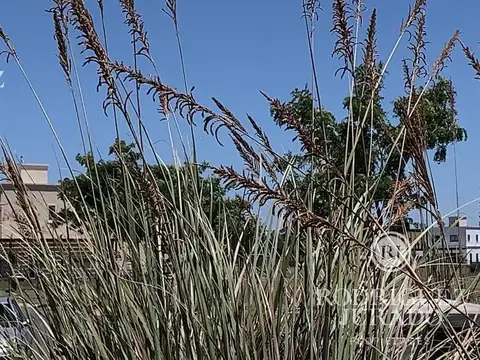 Terreno en Venta de 480,0 m2