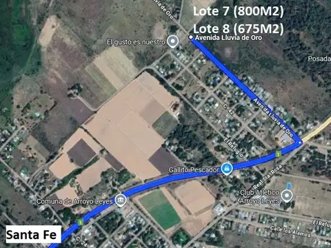 Avenida Lluvia de Oro - Calle 100