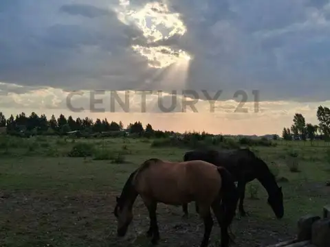 Aristobulo del valle 1350 100, Piso 0