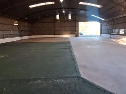 Alfredo Schilla 1200