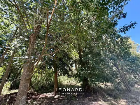 Terreno en Venta 14  mts Fondo