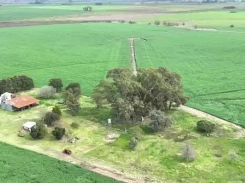 Campo en venta 210 has agrícolas con mejoras
