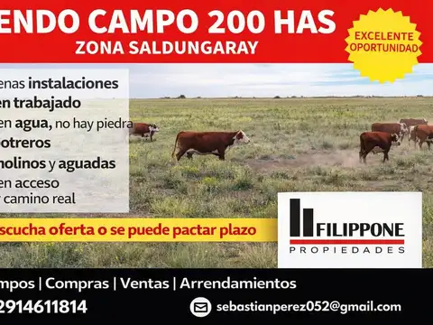 Campo de 220ha en venta - Zona Saldungaray