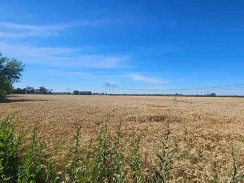 Terreno en Venta en San Nicolas De Los Arroyos, USD 40.000