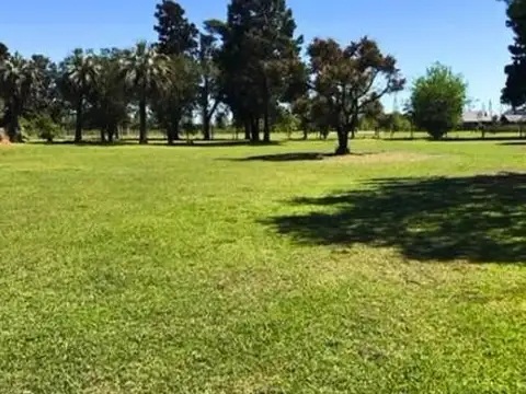 Terreno - Campo Timbo