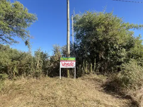 Zona Termas San José