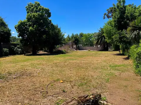 Terreno en Venta 74  mts Fondo