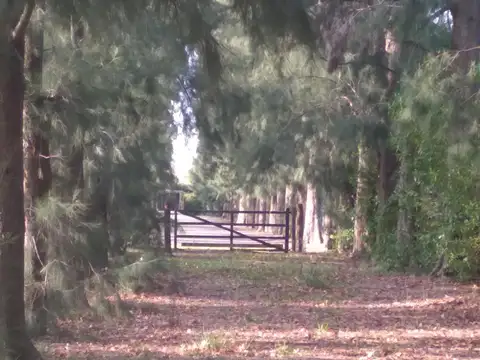 Venta de Lote en La Otilia UF62 -