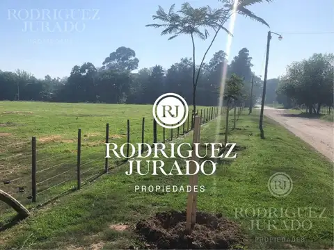 Terreno en Venta en San Antonio De Areco, USD 65.000