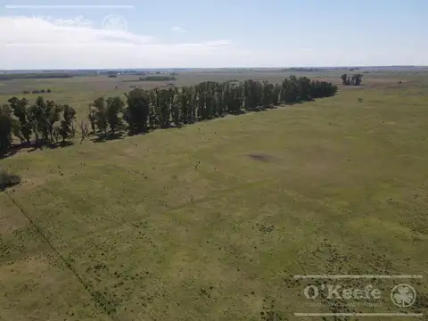 Excelente campo sobre Ruta 6 con casco y mejoras
