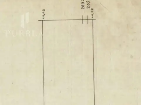 Pedro Chutro al 2600