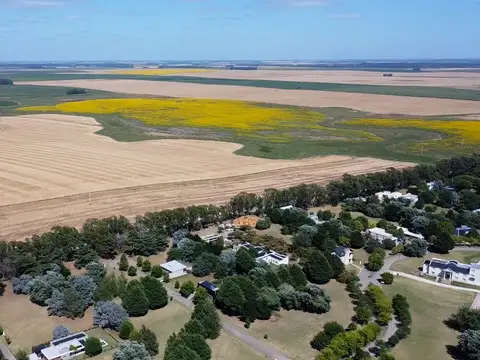 Terreno en Venta de 802,0 m2