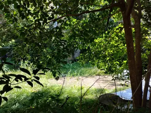 Terreno en Venta 74  mts Fondo