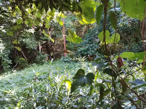 VENTA LOTE ITUZAINGO NORTE 3000 m2