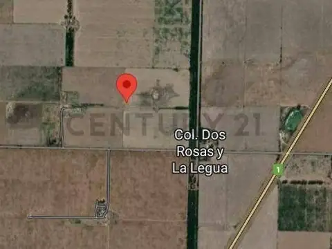 Oficina en Venta 2025 años