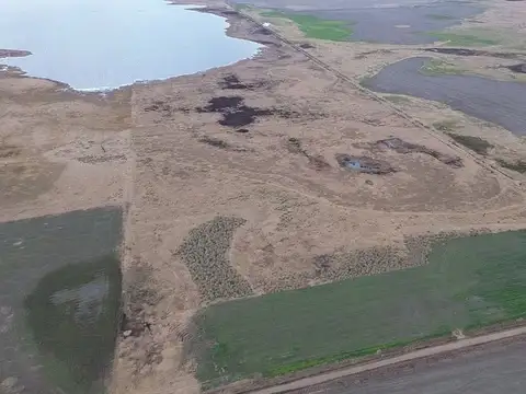 CAMPO MIXTO 131 HECTAREAS  SAN EDUARDO