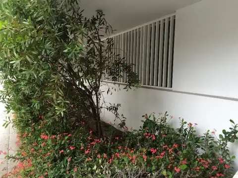 Elpidio Gonzalez 2800