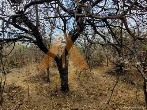 Terreno en Venta de 1600,0 m2