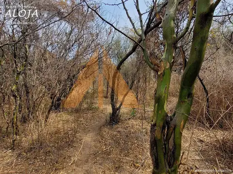 02529 B - Cerca del río