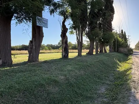 Terreno en Venta 12  mts Frente